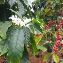 종해농장 이미지