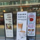 BYC 옆(위더스빌) | 부천빵집 명인빵지순례1984 고르고 싶은 빵이 가득해 빵순이에게 천국이었던 후기