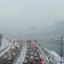 간선-41 이미지
