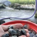 10월펜션 이미지