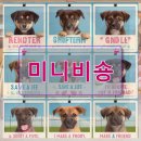 제천동물보호센터 이미지