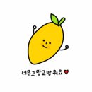 모모과일
