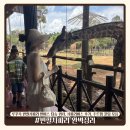 푸꾸옥 빈펄사파리 완벽정리|빈버스 탑승 위치·사파리버스 후기 주트램 꿀팁 모음