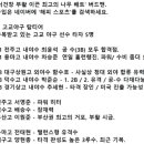 [베이스볼코리아]고교야구 탑티어 야수편 총정리.TxT 이미지