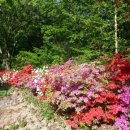 산내음 물소리 이미지