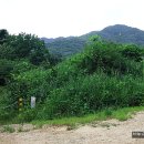 성불사지 석불입상 이미지