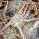 한마음직판장 이미지