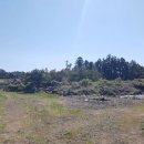 회천동초등학교 이미지