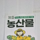 보라네분식