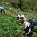 송학1리 이미지