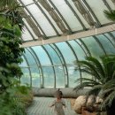 동천어린이집 | 용인 아기랑 가볼만한 곳 :: 동천자연식물원 (+ 숲마루 카페)