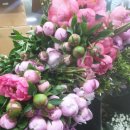 언덕배기꽃식물원 이미지