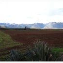 남미 5개국 배낭 여행 : 모라이 계단식 농경지, 살리나스 염전 이미지