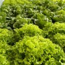 솔마1로 이미지