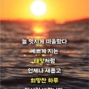 에이스종합관리 - 동래구 | 에이스종합관리