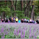 별빛뜨락 이미지