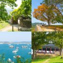 충청수영성 관광안내소 | 충남 보령 가볼만한곳 충청수영성