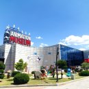 애니메이션박물관 이미지