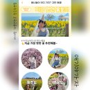 제주예스약국 | 아이와 가볼만한곳 아이랑 여행코스 예스키즈존 추천 앱 애기야가자 ft.만우절이벤트