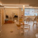 미어켓파크 이미지