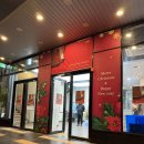 뉴로드짐 | 블랙 컨트리 뉴 로드 내한 공연 후기