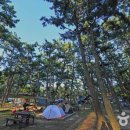 큰길어린이공원화장실 이미지