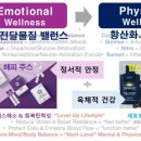 아마레 이미지