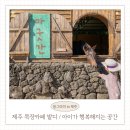 자동목장 | 제주 서귀포 목장 카페 밭디 모르세요? 승마에 전동차 체험까지 아이가 행복한 곳