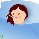 정가네농장 이미지