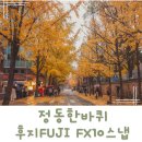 정동길 산책하며 찍은 FUJI fx10 똑딱이카메라 사진 스냅