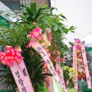(주)강남모터스 Daum카페