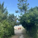 하평하우스 이미지