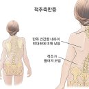 사직마디의원 이미지