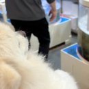 청산한우목장 이미지