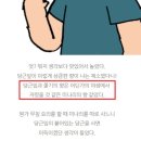 식향 이미지