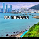 수영구민화 함께하는 숲 탐방 | 부산 가볼만한곳 여행지 코스 추천 BEST6