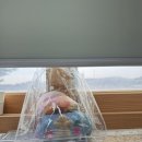 대전봉산중학교 이미지