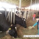 석기목장 이미지