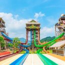 롯데워터파크 이미지