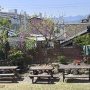 몸존휘트니스 이미지