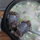 순대국 티스토리