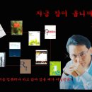 1313 이미지