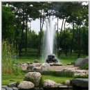 한밭수목원 서원 이미지