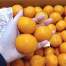 성훈농장 이미지