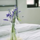 하우트모텔 이미지