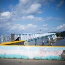 백합칼국수 이미지