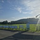 제주특별자치도 축산생명연구원 | 흑우가 방목 중인 곳] 2025년 10월 제주특별자치도 축산생명연구원 제주마 방목지 - 대중교통(시내버스...