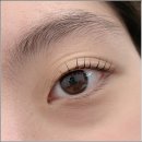 둔산로31번길 | 대전서구속눈썹펌 다녀온 후기 페이스터치 추천