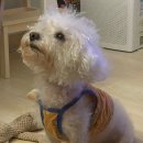 경기도 수원시 팔달구 인계로166번길 45 (인계동) 이미지