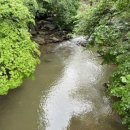 춘기목장 이미지